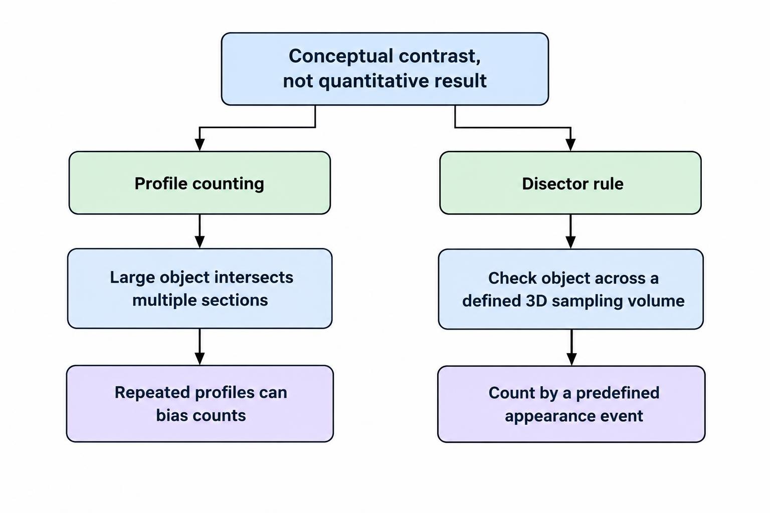 A conceptual diagram compares profile counting across adjacent sections, where a large object may appear in multiple sections, with a disector rule that counts an object once when it enters the defined sampling volume.